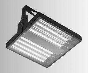 Hollie Series Flood Lights Main