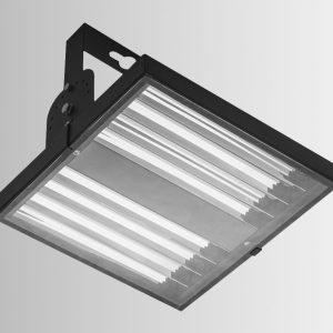 Hollie Series Flood Lights Main